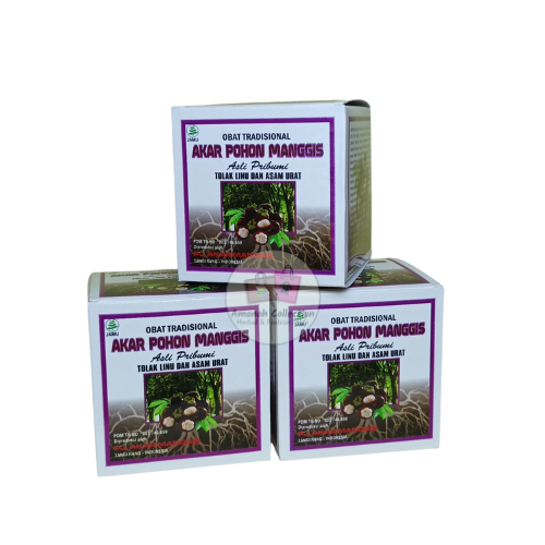 Kapsul Akar Pohon Manggis